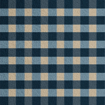Picture of BLUE HUE GINGHAM