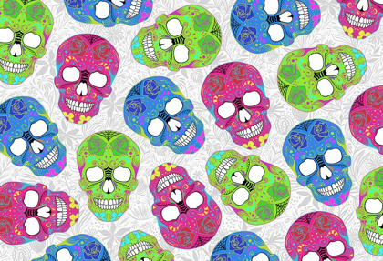 Picture of FUN SKULLS