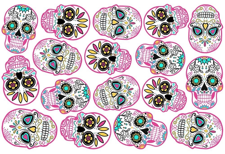 Picture of PINK SKULLS WHITE BACK