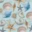 Picture of BY THE SEA SHELLS 1