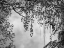 Picture of SUMMER AFTERNOON BW