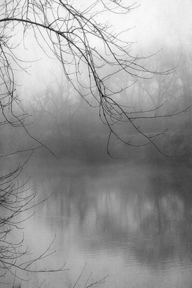 Picture of MISTY POND 1 BW