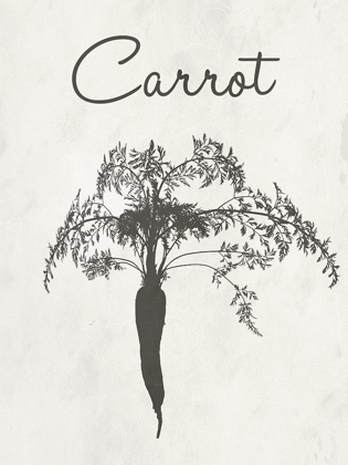 Picture of CARROT FARM BOTANICAL