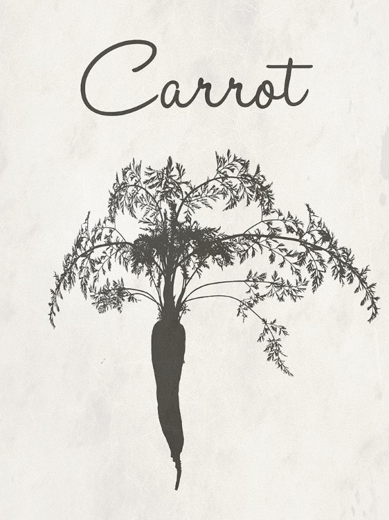 Picture of CARROT FARM BOTANICAL