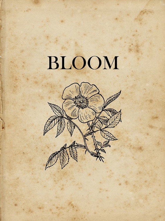 Picture of BLOOM