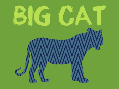 Picture of BIG CAT
