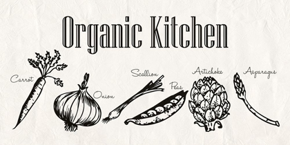 Picture of ORGANIC KITCHEN
