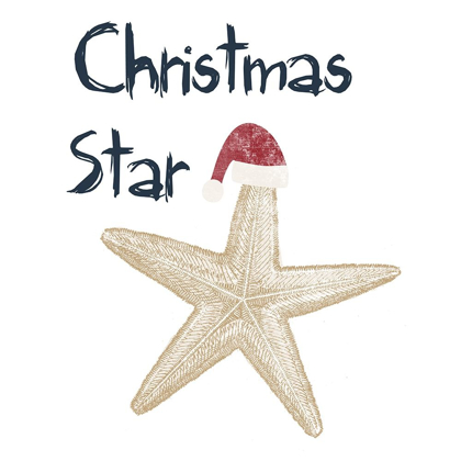 Picture of CHRISTMAS STAR
