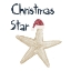 Picture of CHRISTMAS STAR