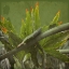 Picture of BOTANICAL GARDEN 2
