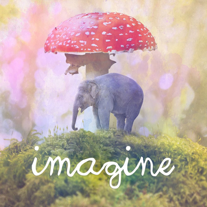 Picture of IMAGINE