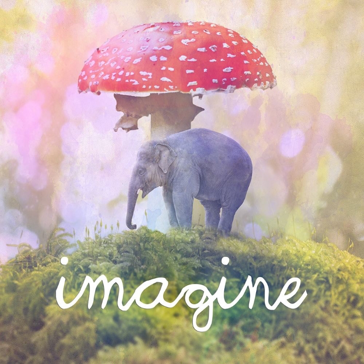 Picture of IMAGINE