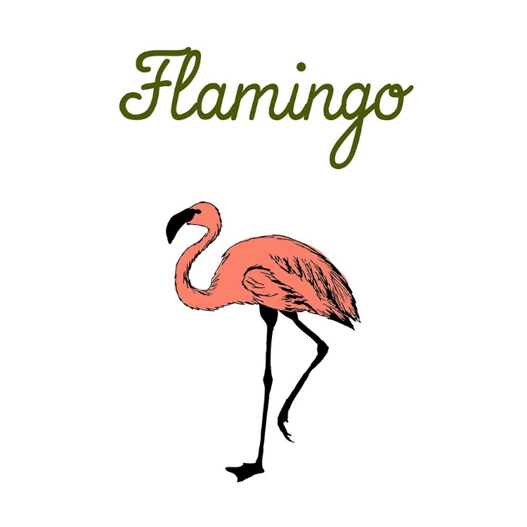 Picture of FLAMINGO