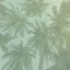 Picture of PALM GROVE 2