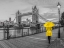 Picture of LADY IN YELLOW, TOWER BRIDGE, LONDON