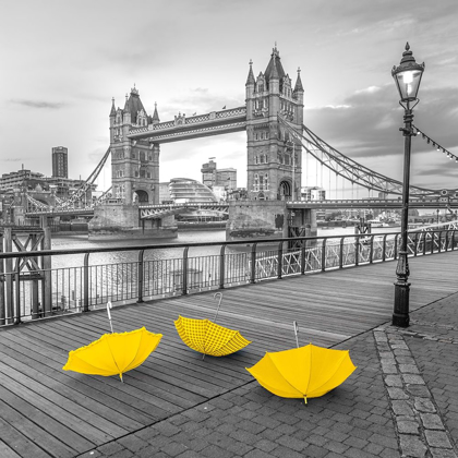 Picture of YELLOW UMBRELLAS, TOWER BRIDGE, LONDON