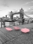 Picture of PINK UMBRELLAS, TOWER BRIDGE, LONDON