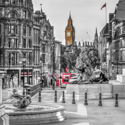 Picture of TRAFALGAR SQUARE, LONDON, UK