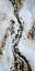 Picture of ABSTRACT AND TEXTURIZED PAINT SPLASH