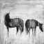 Picture of HORSES SILHOUETTES IN THE MIST