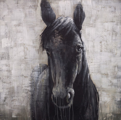 Picture of BLACK HORSE