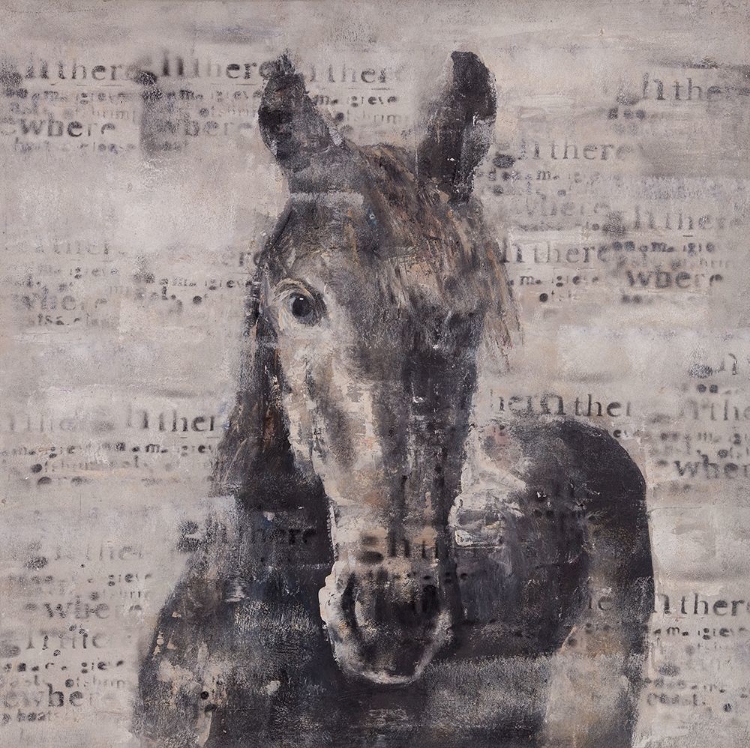 Picture of ABSTRACT HORSE WITH TYPOGRAPHY