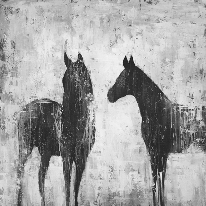 Picture of BLACK AND WHITE HORSES