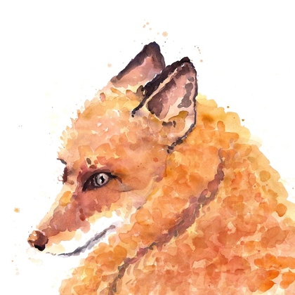 Picture of FOX