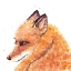 Picture of FOX