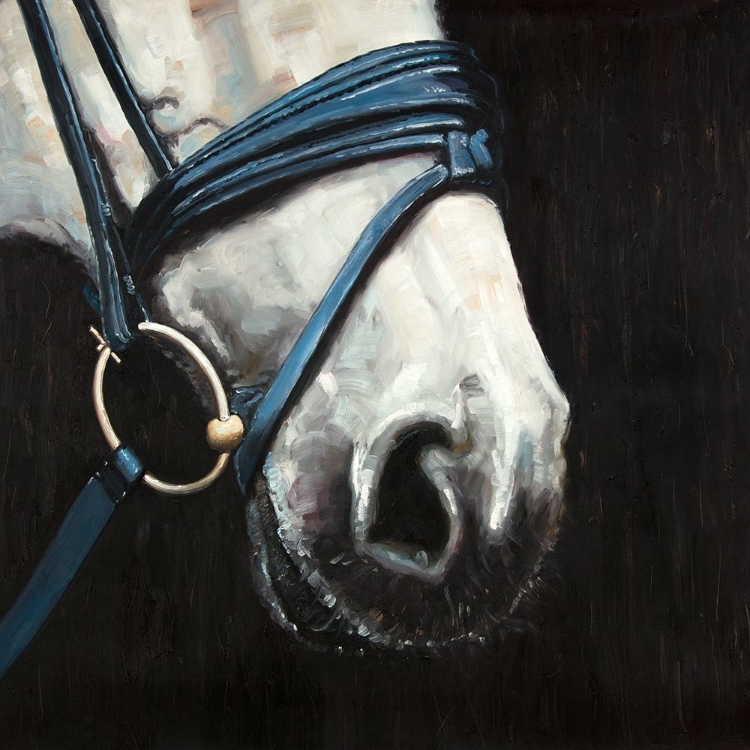 Picture of HORSE WITH HARNESS