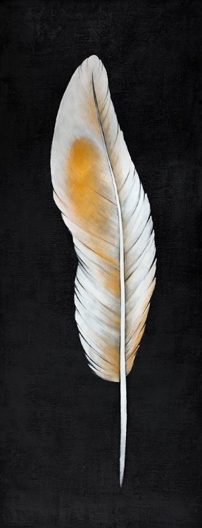 Picture of FEATHER