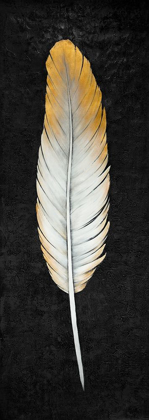 Picture of GOLDEN FEATHER