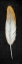 Picture of GOLDEN FEATHER