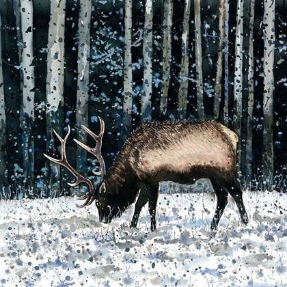 Picture of CARIBOU IN THE WINTER FOREST