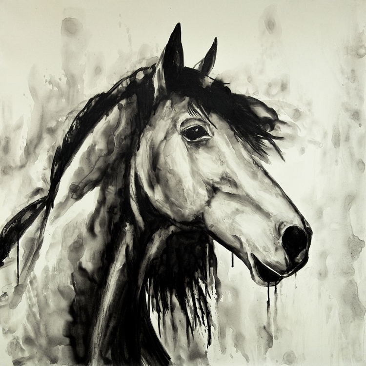 Picture of SPIRIT HORSE