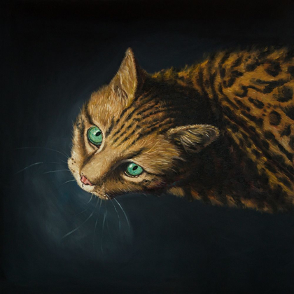 Picture of BENGAL CAT