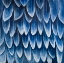 Picture of PLUMAGE BLUE