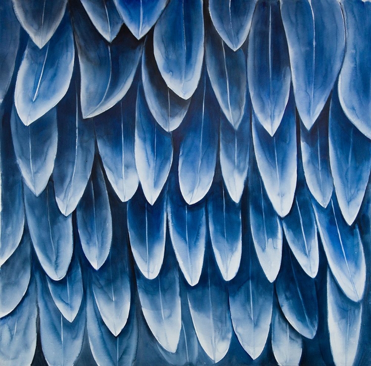 Picture of PLUMAGE BLUE