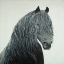 Picture of WILD HEART