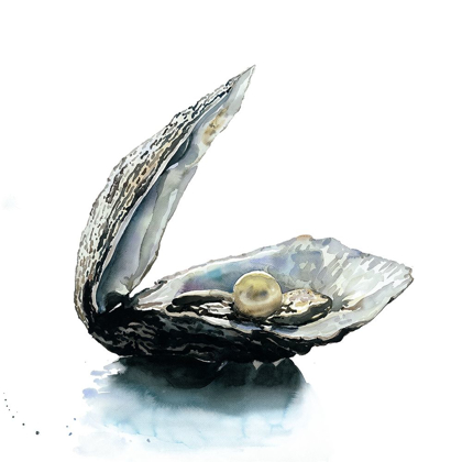 Picture of PEARL OYSTER