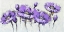 Picture of ABSTRACT PURPLE FLOWERS
