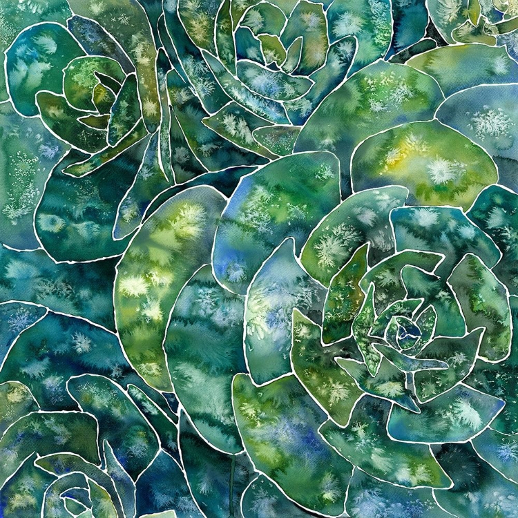Picture of ABSTRACT SUCCULENTS