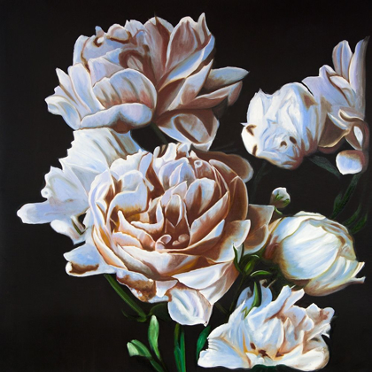 Picture of PEONIES