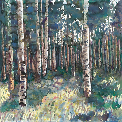 Picture of BIRCHES