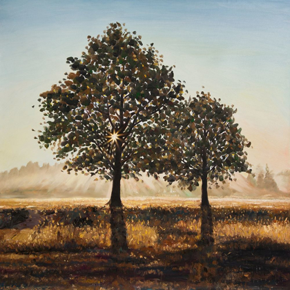 Picture of TREES IN THE COUNTRYSIDE