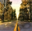 Picture of LONG ROAD