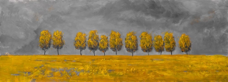 Picture of TREES IN A FIELD