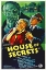 Picture of HOUSE OF SECRETS