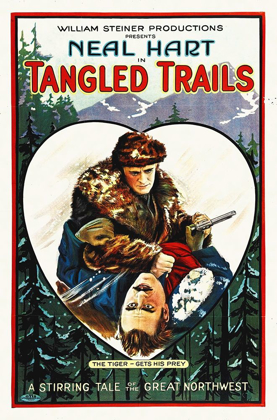 Picture of TANGLED TRAILS