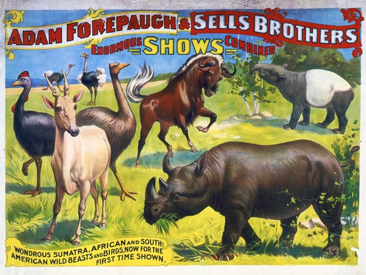 Picture of ADAM FOREPAUGH AND SELLS BROTHERS ENORMOUS SHOWS COMBINED - WONDROUS SUMATRA, AFRICAN AND SOUTH-AMER